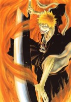 Bleach___________503dd8b42ab0e.jpg